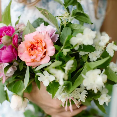 Hygiea - Boutiqueapartments Am Woerthersee Pörtschach am Wörthersee