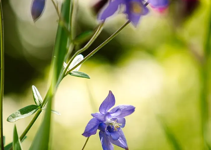 Hygiea - Boutiqueapartments Am Wörthersee Appartement *